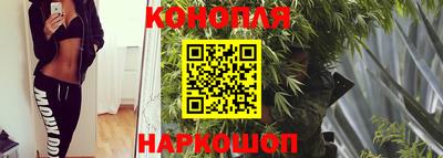шишки Можайск