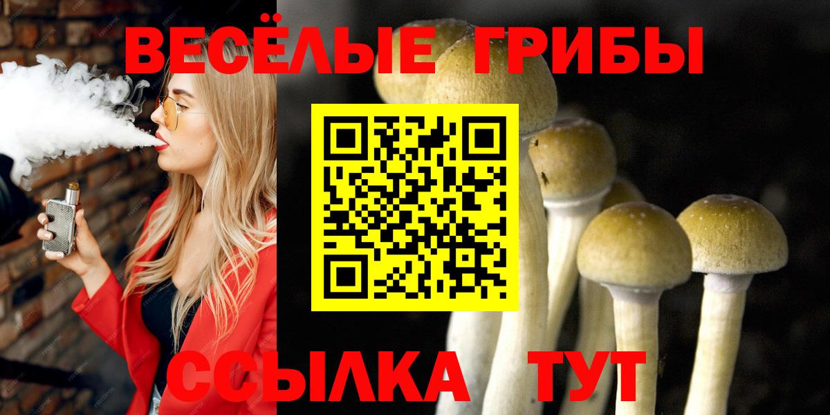 Галлюциногенные грибы Psilocybe Чистополь