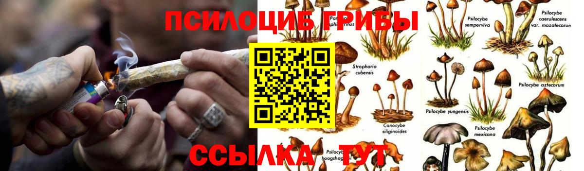 Галлюциногенные грибы Magic Shrooms  Вход с VPN  Чистополь  Галлюциногенные грибы ЛСД 