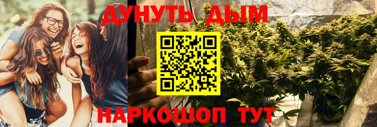 Бошки марихуана AK-47  Марихуана Bruce Banner  Бошки Шишки план  Вход с VPN  Каннабис Bruce Banner  Чистополь 